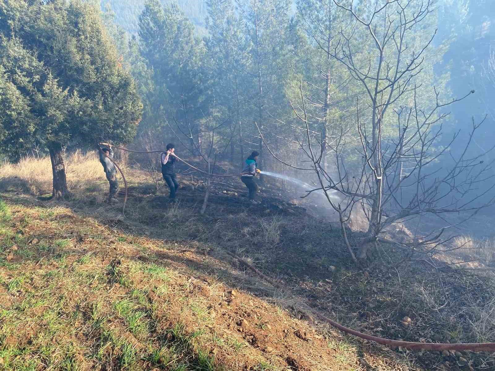 Adana’da orman yangını kontrol altına alındı