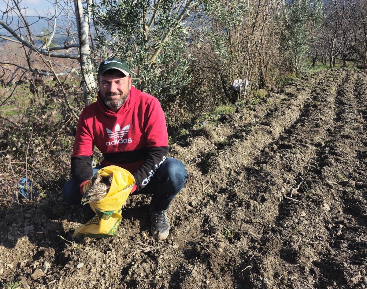 Tarlasında bulduğu yaralı kartala sahip çıktı