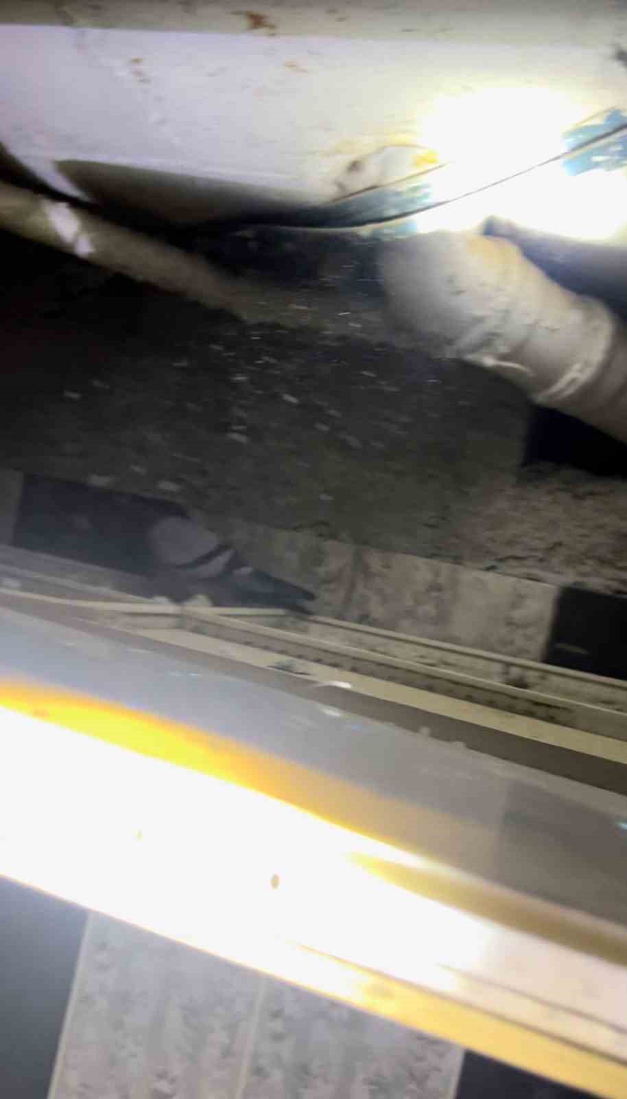 Kanat &ccedil;ırpma sesi hayatını kurtardı
