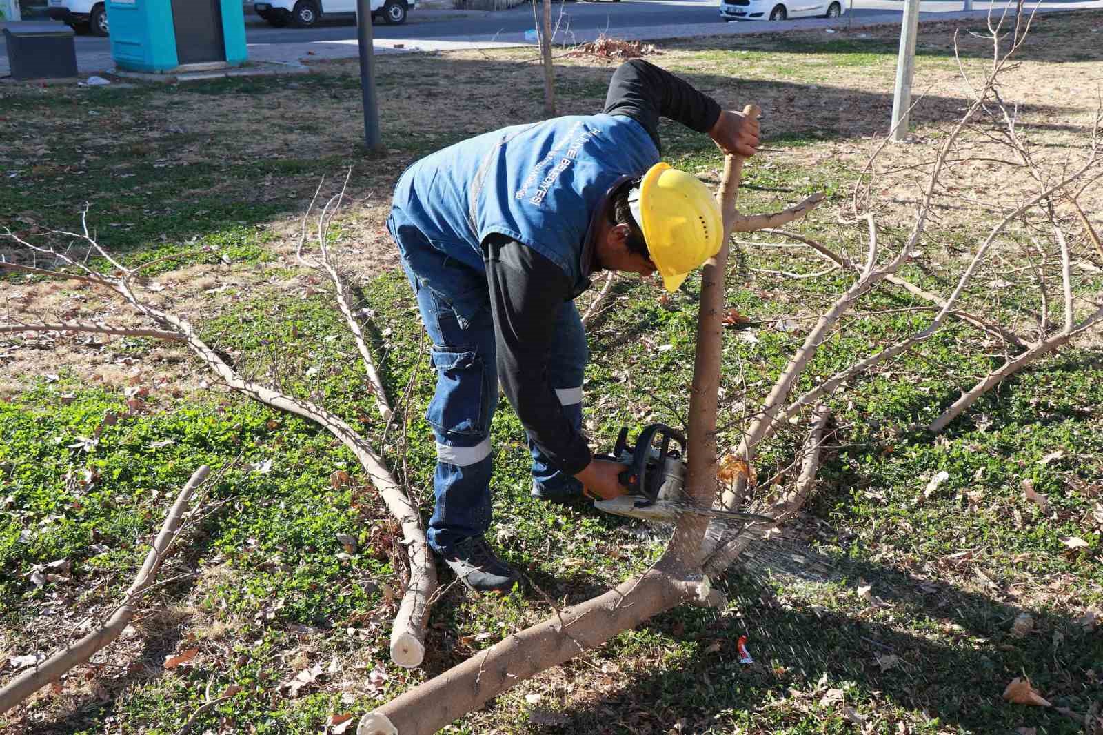 Park ve sokaklarda peyzaj &ccedil;alışmaları devam ediyor
