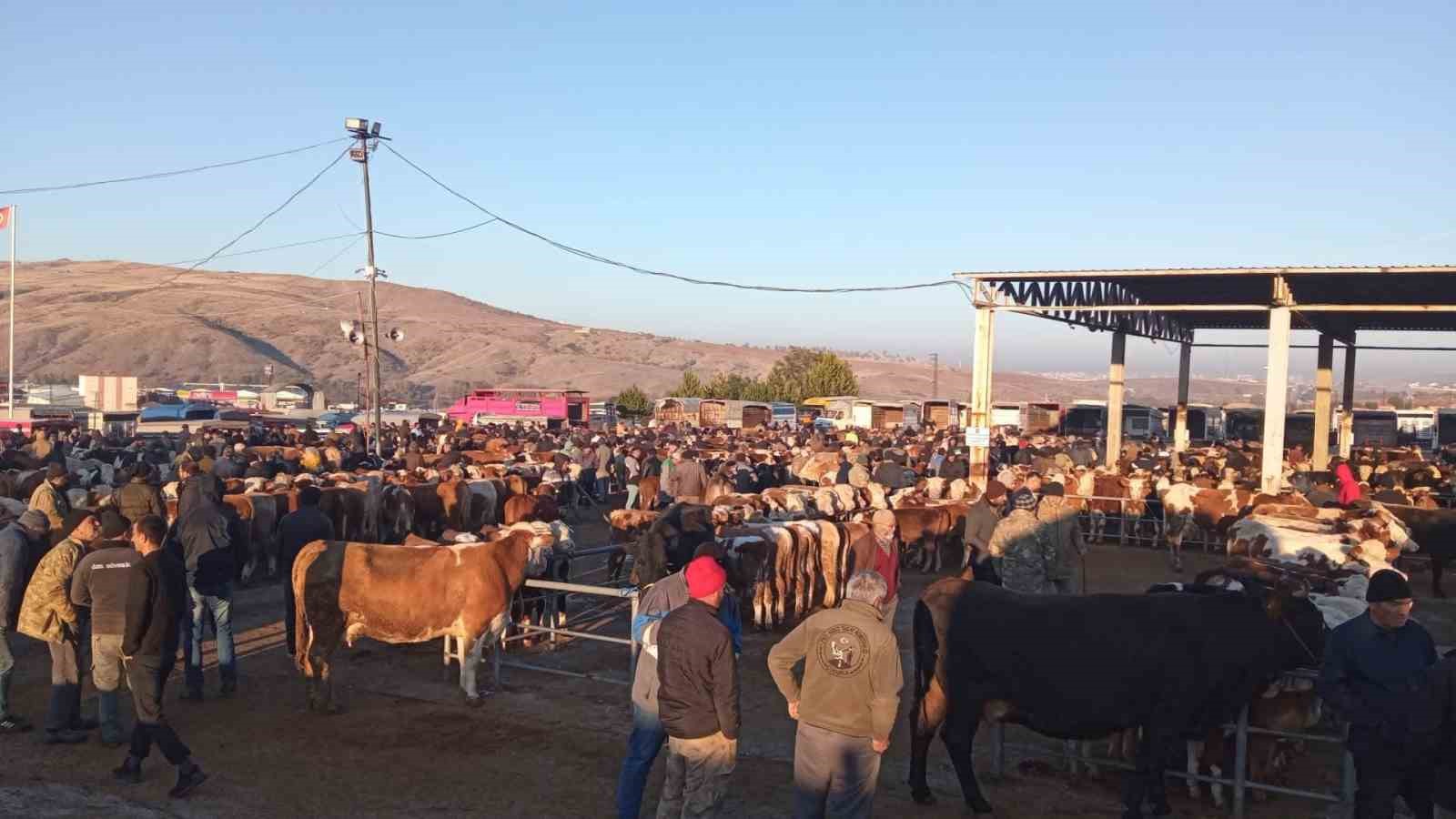 Yozgat’ta üç ilçede hayvan pazarları geçici olarak kapatıldı