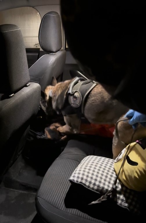 Muş&rsquo;ta uyuşturucu operasyonu: 4 tutuklama
