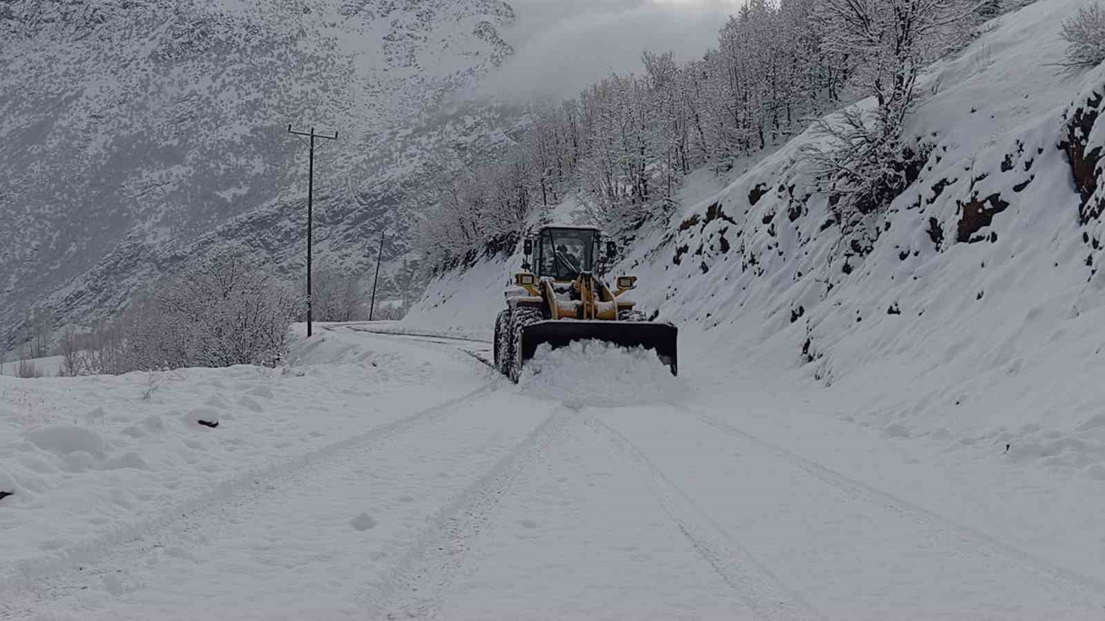 Şırnak’ta kapalı 9 köy yolu ulaşıma açıldı