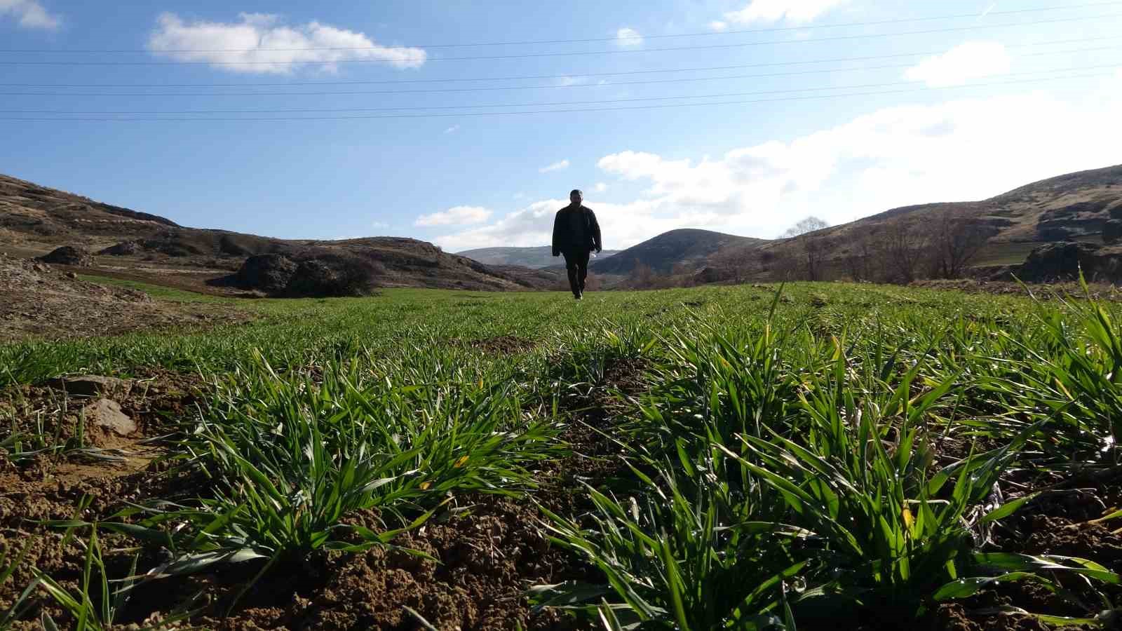 Küresel ısınmanın etkileri Yozgat’taki 40 yıllık çiftçiyi kara kara düşündürüyor