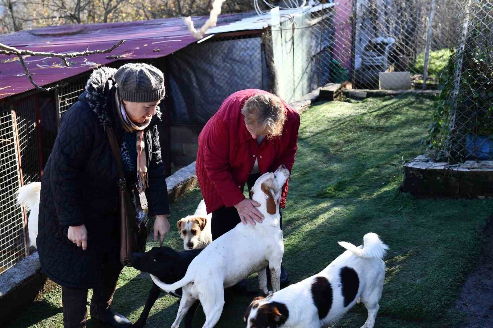 Ortahisar Belediyesi&rsquo;nden hayvansever vatandaşlara mama desteği
