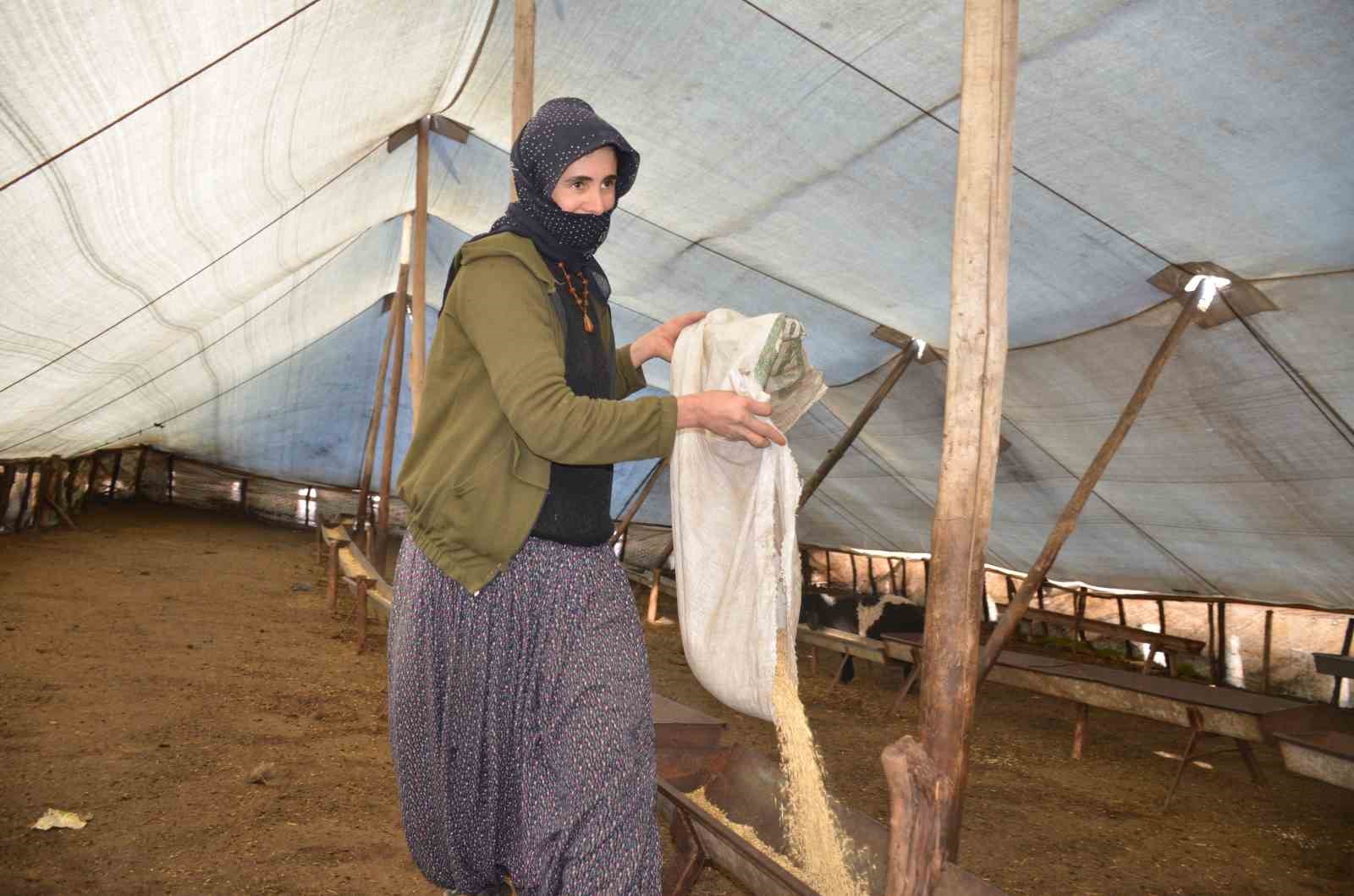 Şırnaklı konarg&ouml;&ccedil;er besiciler bereketli bir d&ouml;nem ge&ccedil;iriyor
