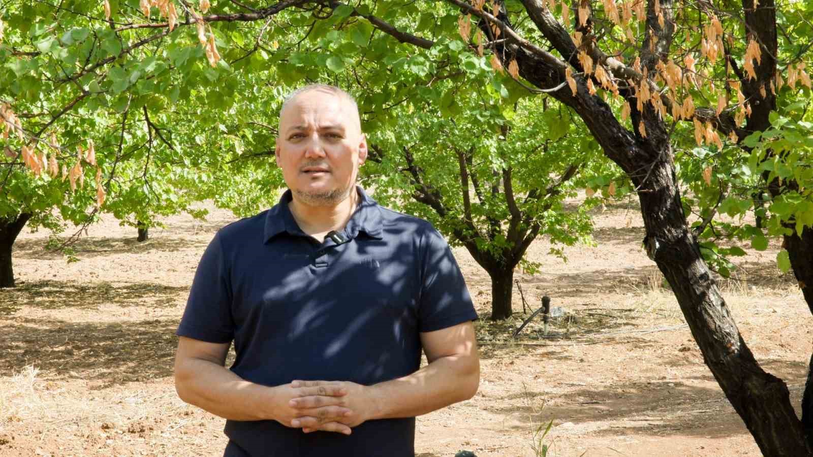 Malatya kayısı &uuml;reticilerine sis uyarısı
