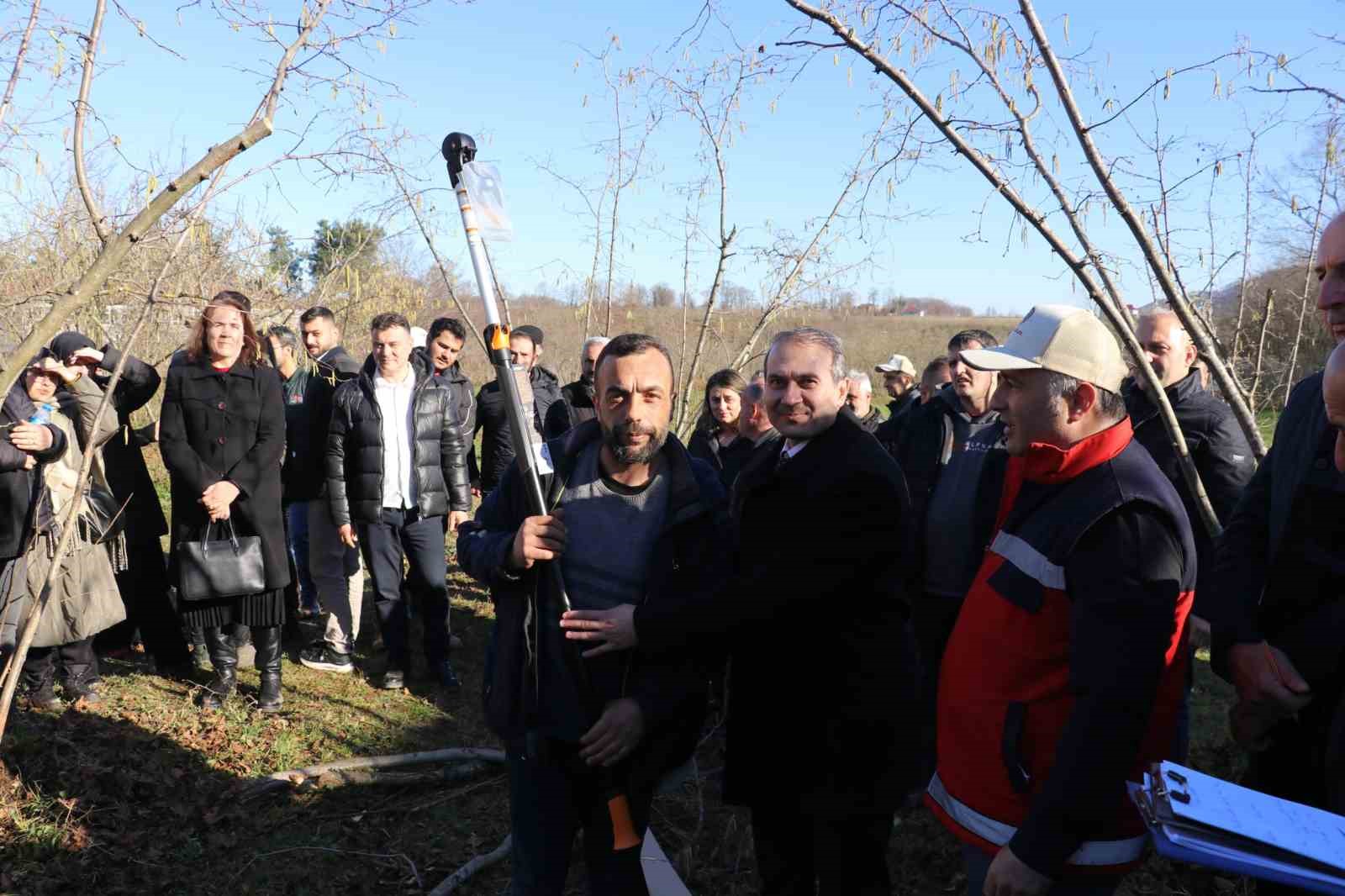 Samsun’da fındık budama yarışması