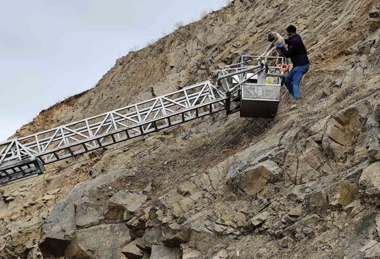 İtfaiye ekipleri kayalıklarda mahsur kalan k&ouml;pek i&ccedil;in seferber oldu
