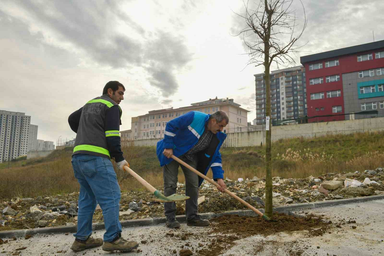 Esenyurt’un sokakları ağaçlarla süsleniyor