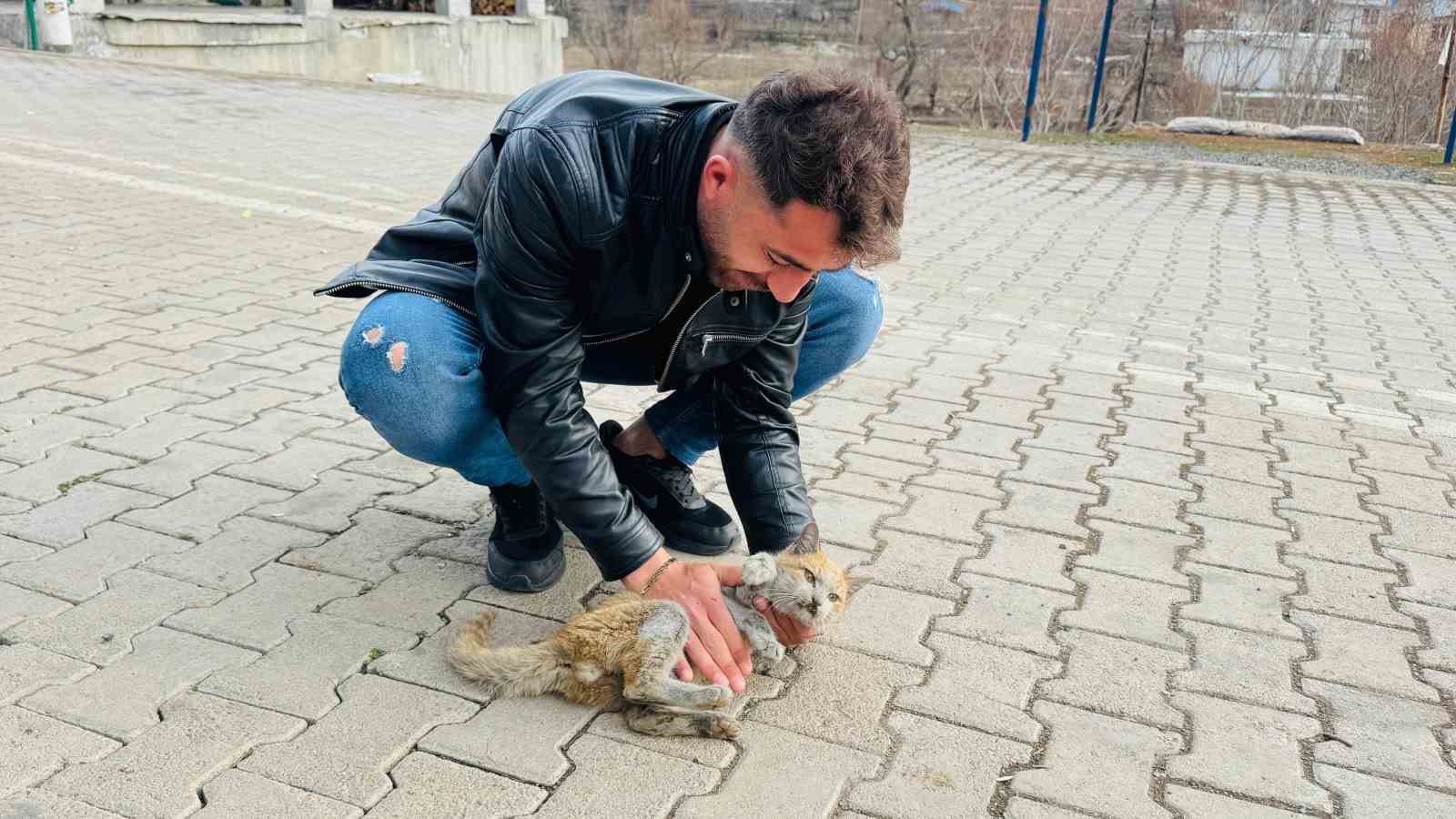 Şırnak’ta can çekişen kedi kalp masajıyla hayata tutundu