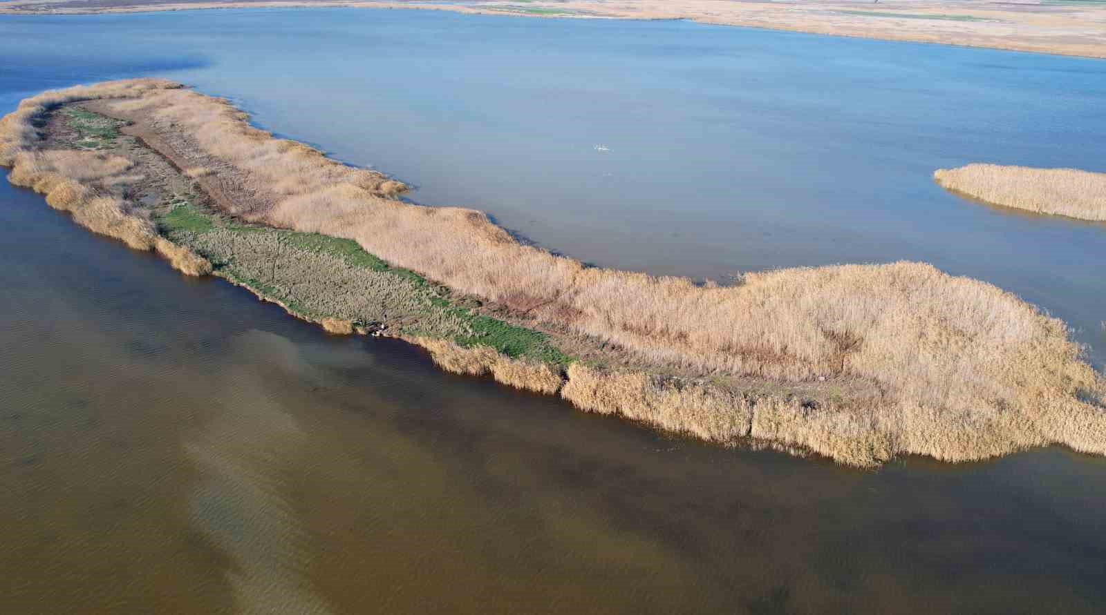 Adana’nın saklı cenneti Nergis Adası, yok olma tehlikesiyle karşı karşıya