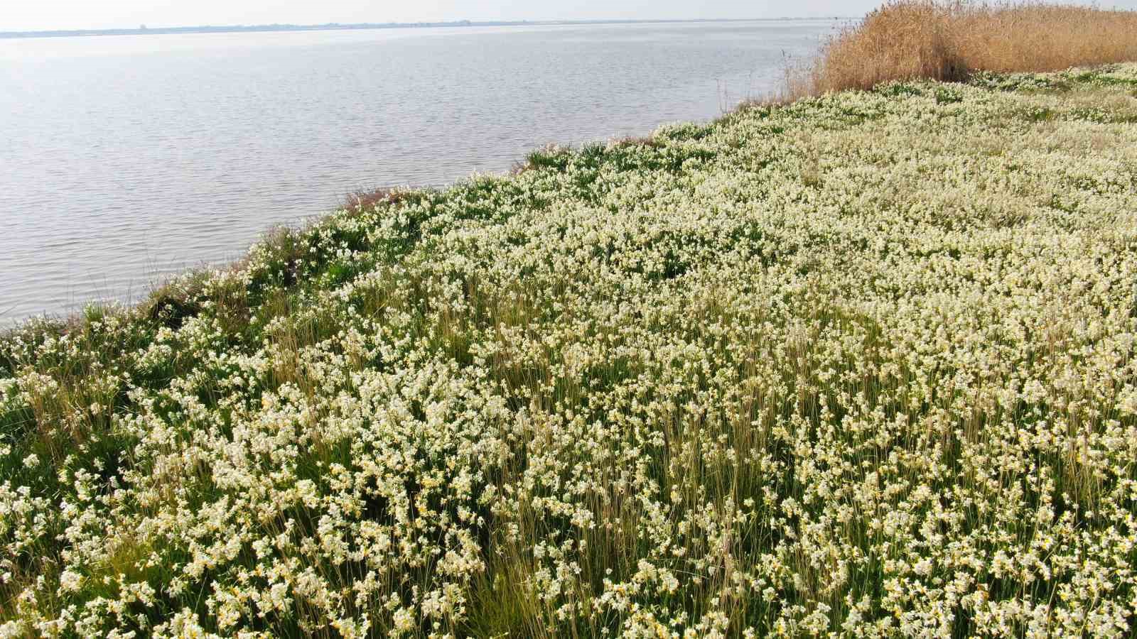Adana&rsquo;nın saklı cenneti Nergis Adası, yok olma tehlikesiyle karşı karşıya
