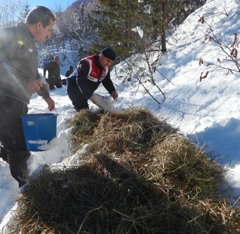 Artvin’de kış şartlarında yaban hayvanları unutulmadı
