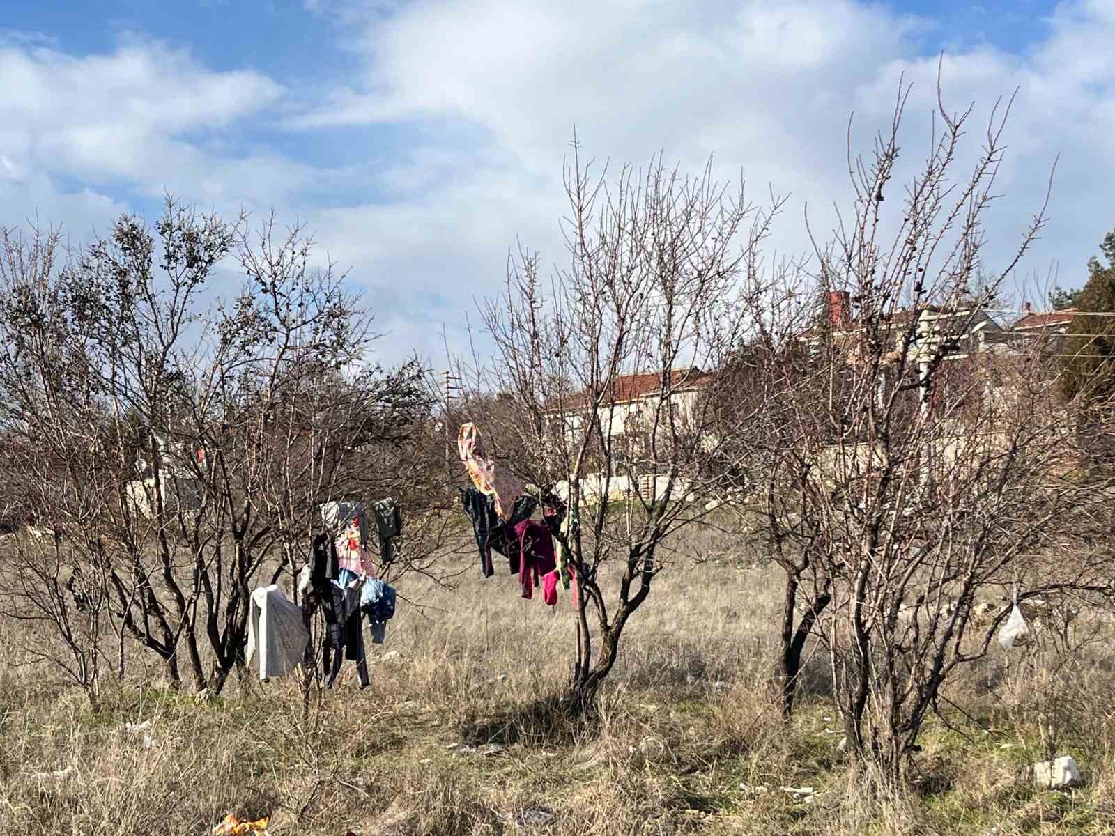 Kış ortasında kuruması için ağaca asılan elbiseler
