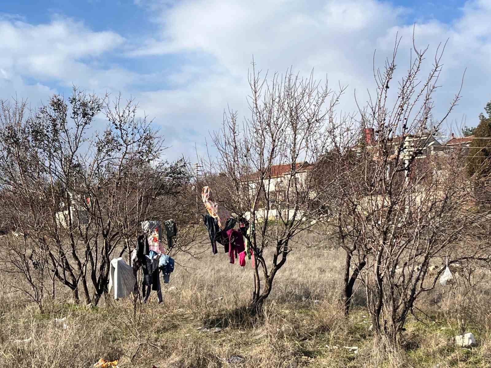 Kış ortasında kuruması i&ccedil;in ağaca asılan elbiseler
