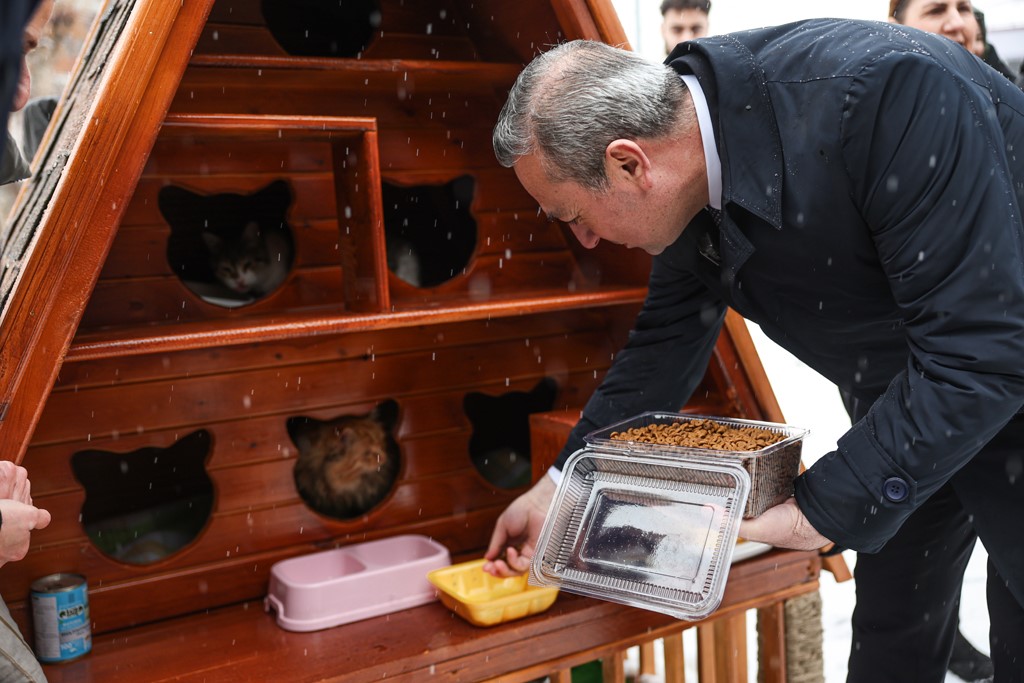 Kış g&uuml;nlerinde kediler i&ccedil;in sıcak yuva
