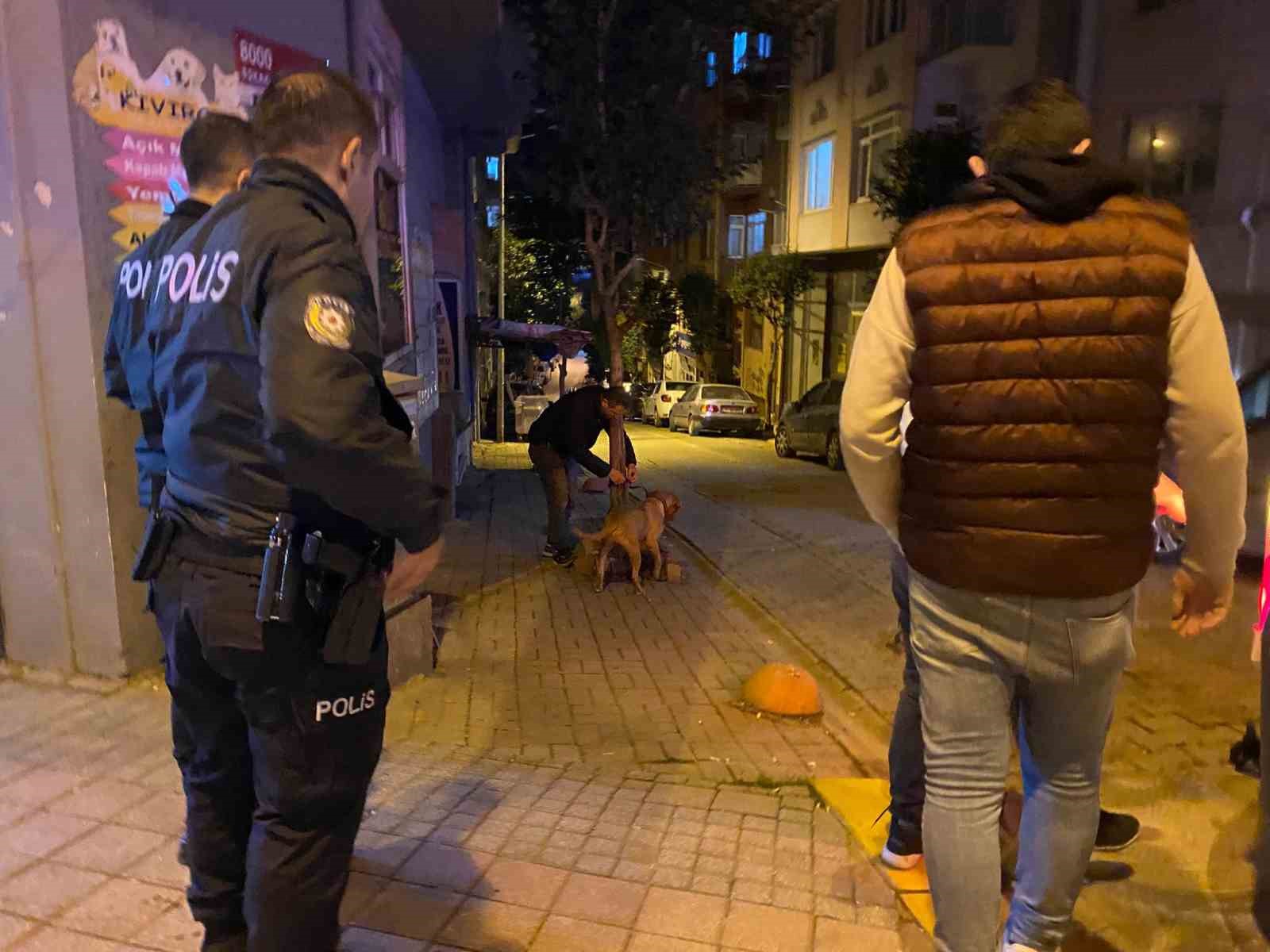 Bandırma’da elinden kurtulan pitbull sokak köpeğine saldırdı