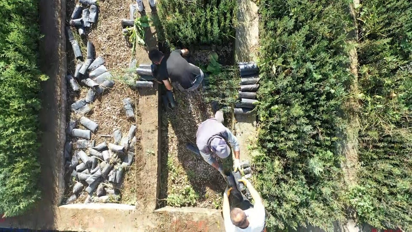 &rsquo;Yeşil Vatan&rsquo;a yılda 10 milyon fidan
