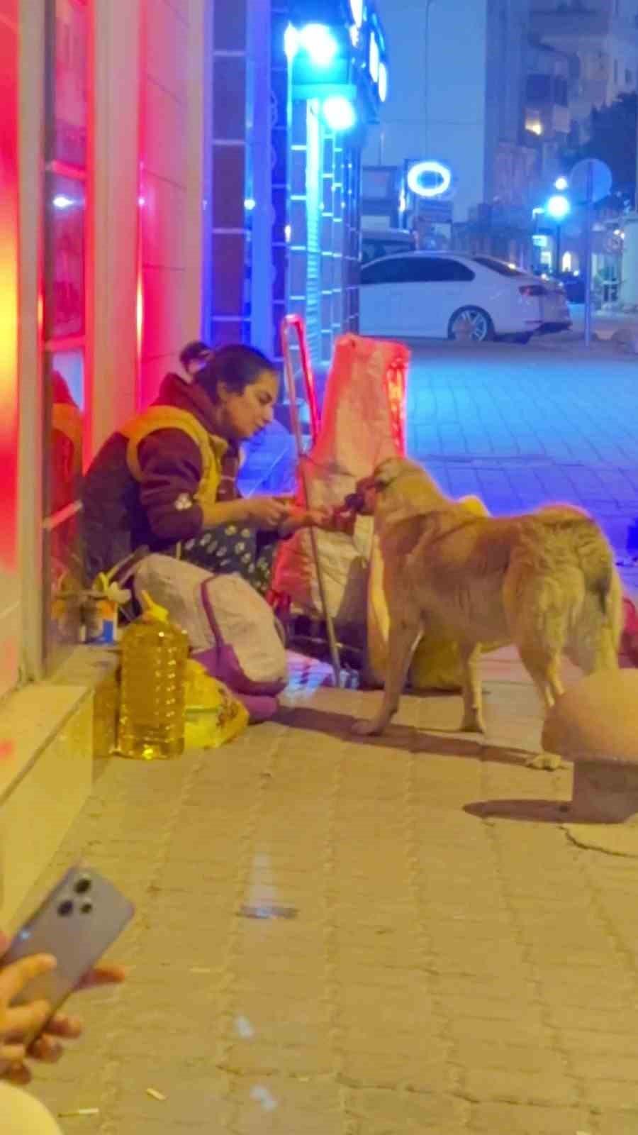 Yemeğini sokak köpeği ile paylaşan kadın yürekleri ısıttı