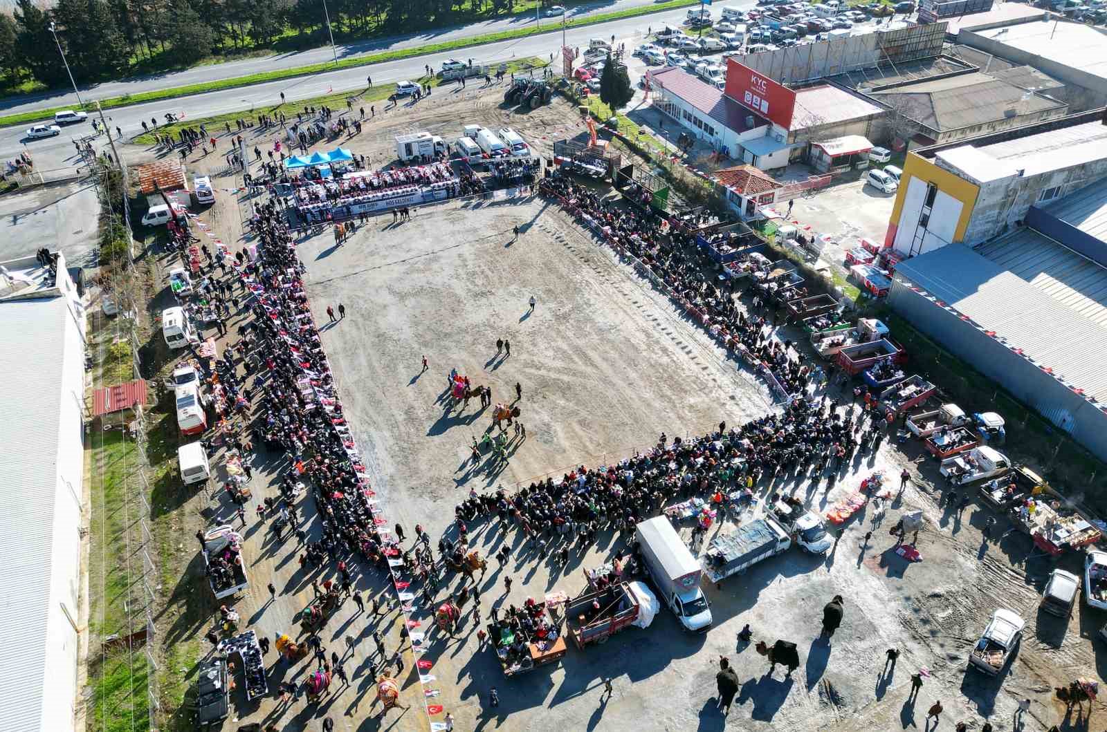 Söke’de Deve Güreşi Festivali renkli geçti