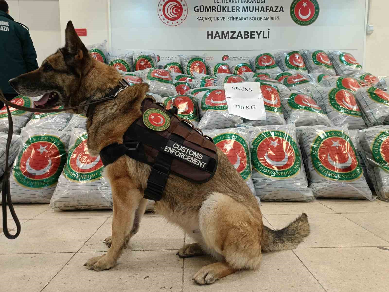 Edirne’de tırda 870 kilo skunk ele geçirildi