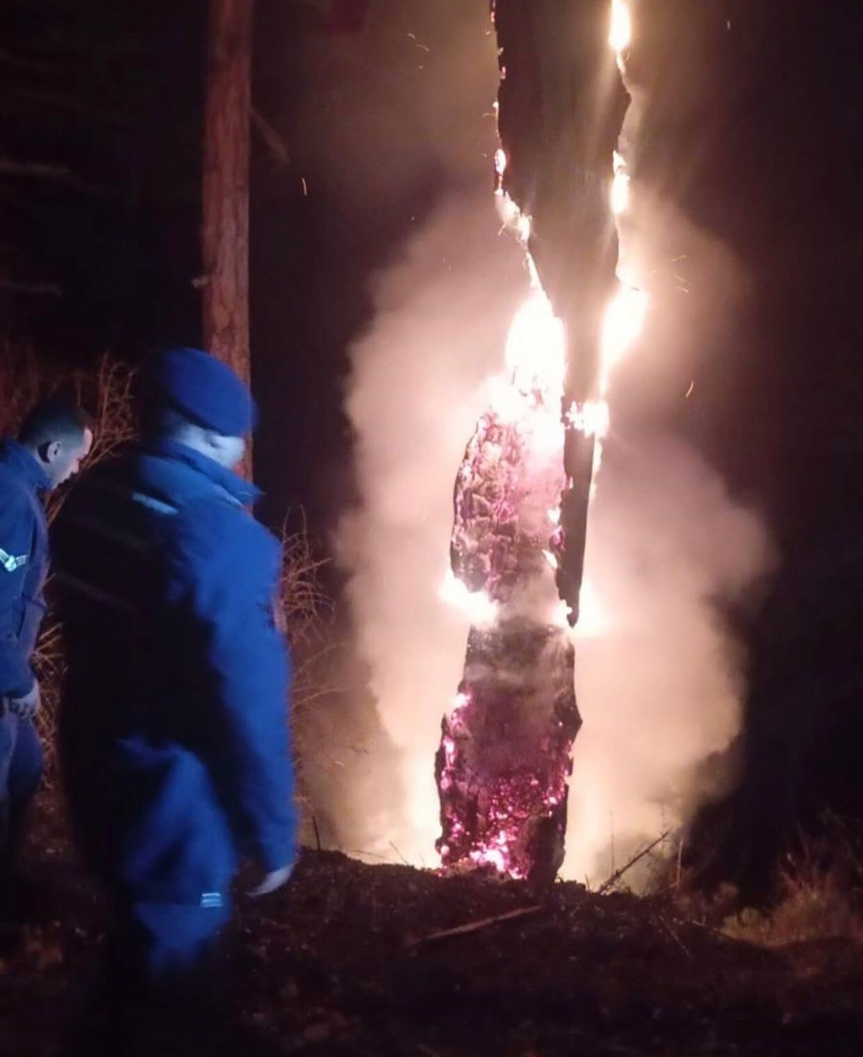 Isparta&rsquo;da yıldırımın d&uuml;şt&uuml;ğ&uuml; ağa&ccedil; k&uuml;le d&ouml;nd&uuml;
