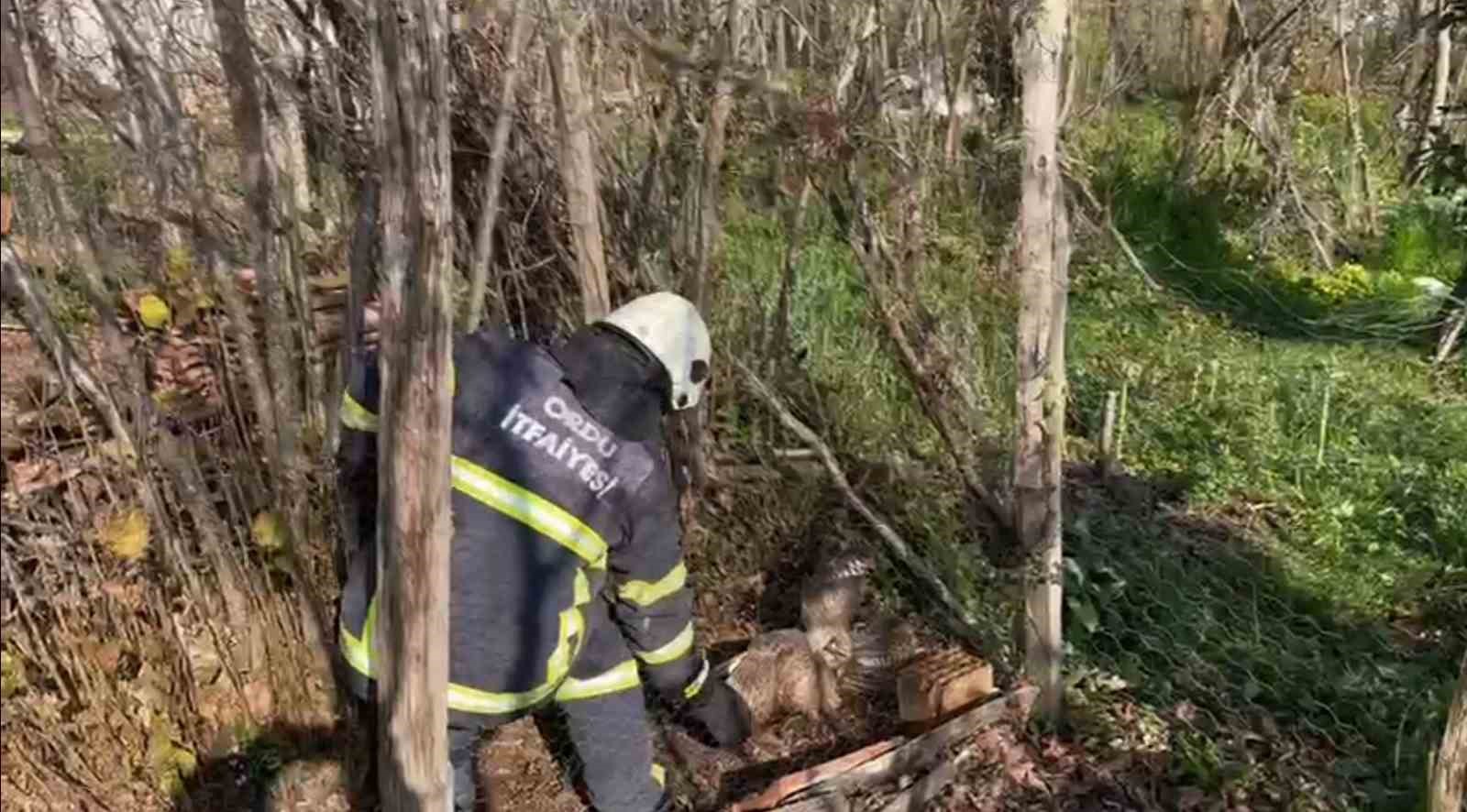 Kümeste mahsur kalan doğanı itfaiye kurtardı