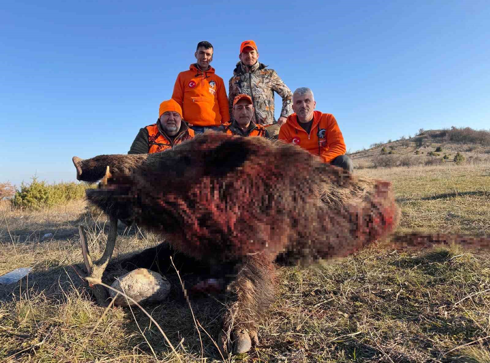 Tekirdağ’da avlanan 250 kiloluk yaban domuzu büyüklüğüyle şaşırttı