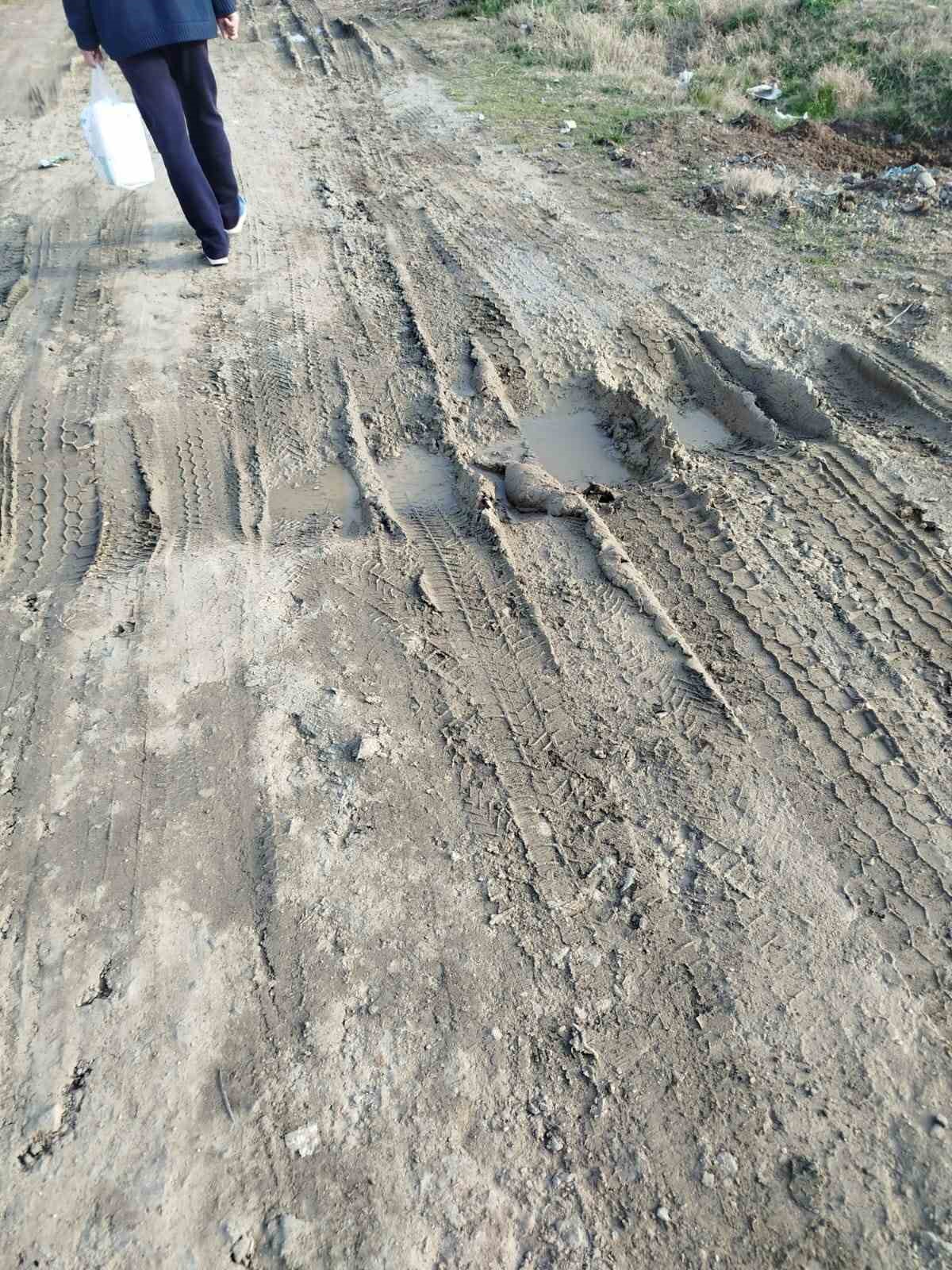 Marmaraereğlisi Yeni&ccedil;iftlik&rsquo;te yollar k&ouml;stebek yuvasına d&ouml;nd&uuml;
