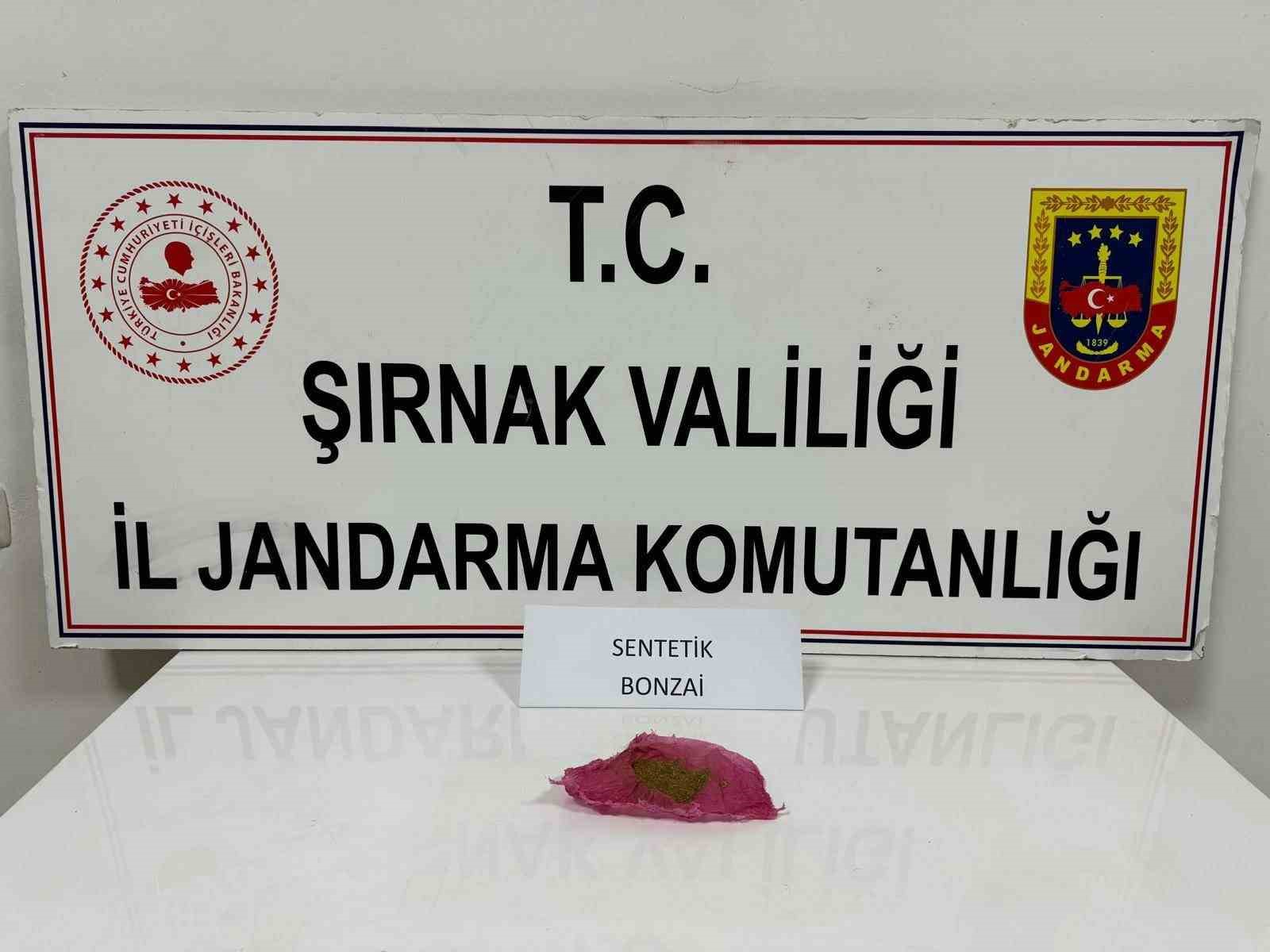 Şırnak&rsquo;ta jandarma ekiplerinden ka&ccedil;ak&ccedil;ılık operasyonu: 1 tutuklama
