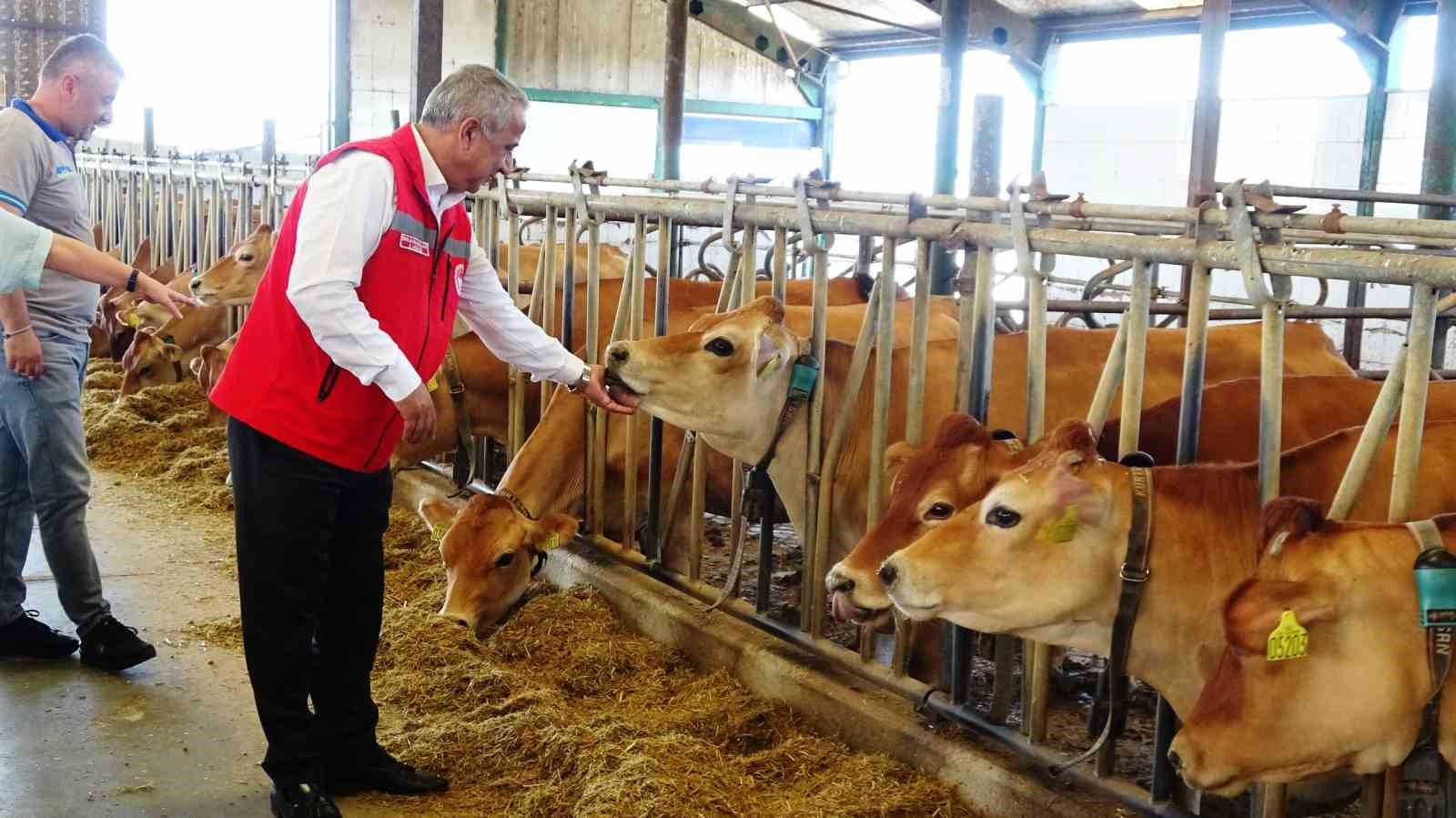 Sağlam: &ldquo;Hayvancılık sekt&ouml;r&uuml;ne bir yılda 57 milyon 289 bin TL destek&rdquo;

