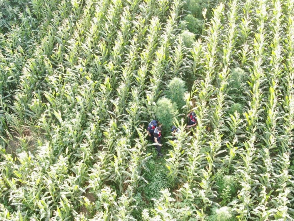 Salihli Jandarmanın 1 yılı böyle geçti