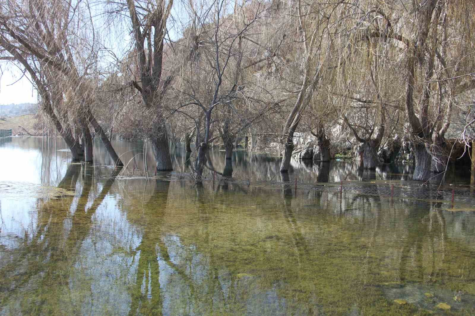 Beyşehir’de kış ortasında yalancı bahar
