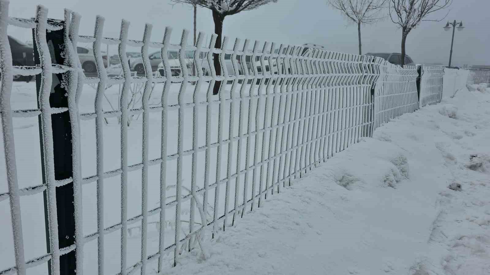 Bitlis’te dondurucu soğuk etkili oluyor: Ağaçlar kırağıyla kaplandı
