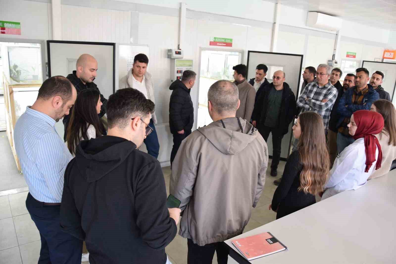 Kahverengi kokarca ile mücadelede kritik aylar