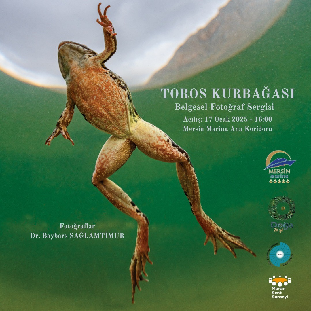 Niğde&rsquo;nin Toros Kurbağası&rsquo;nın su altı fotoğrafları Mersin&rsquo;de sergilendi

