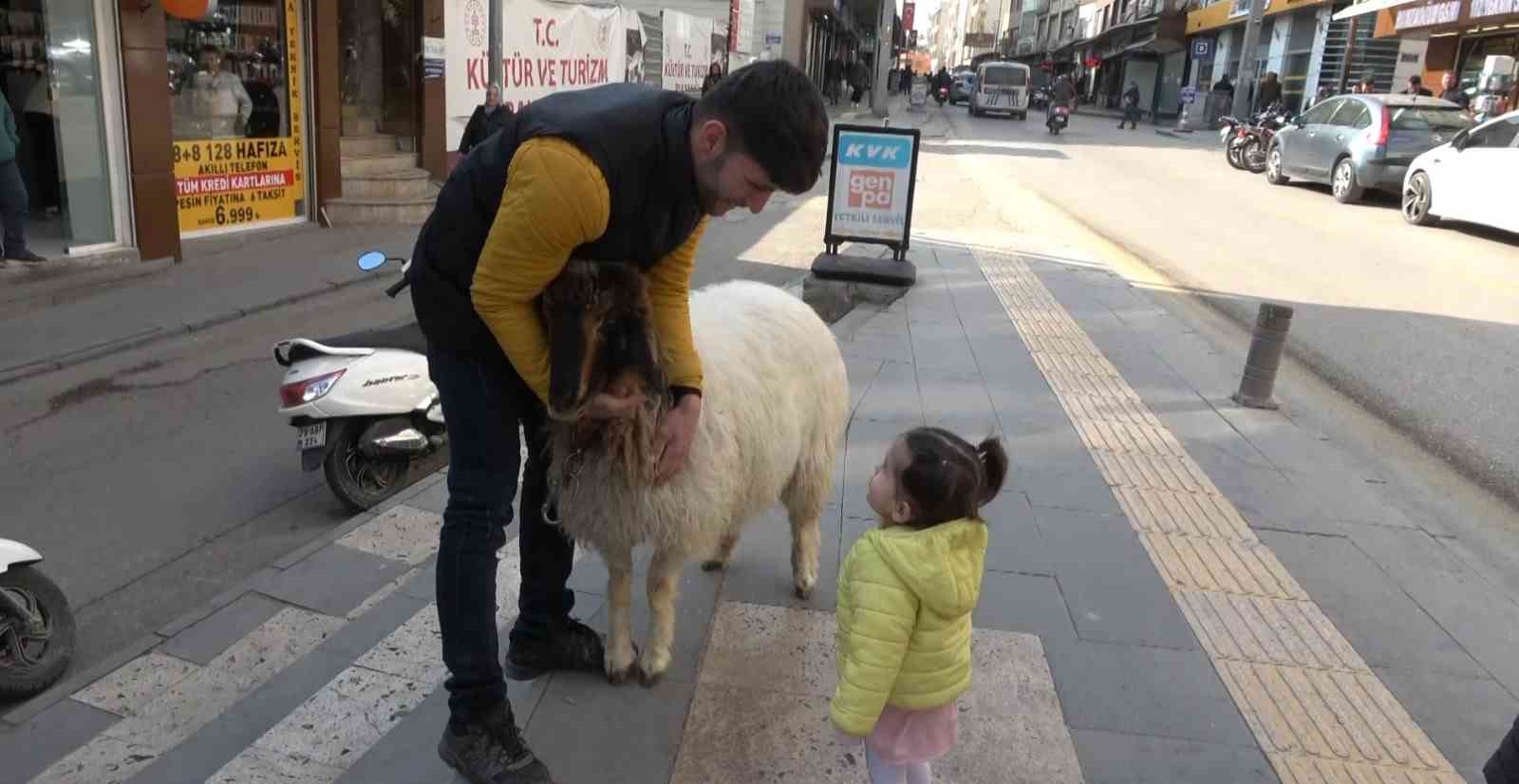 Kilis sokaklarında koyunu ile gezen gen&ccedil; ilgi odağı oldu

