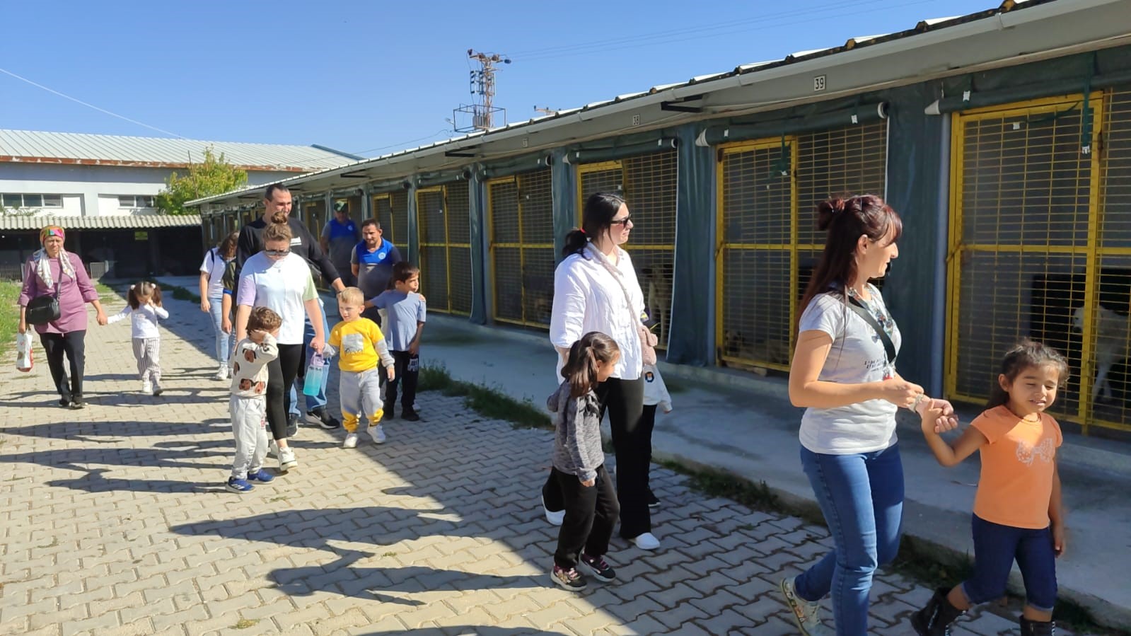 Kreş &ouml;ğrencileri sokak hayvanlarını ziyaret etti
