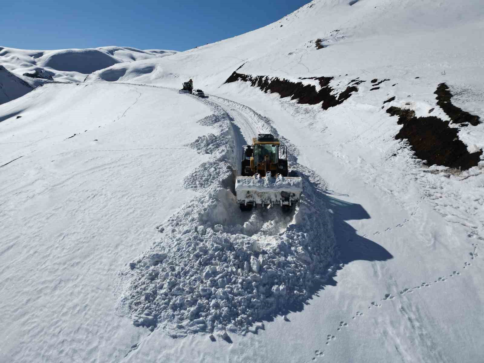 Kar kaplanları çığlara meydan okuyor