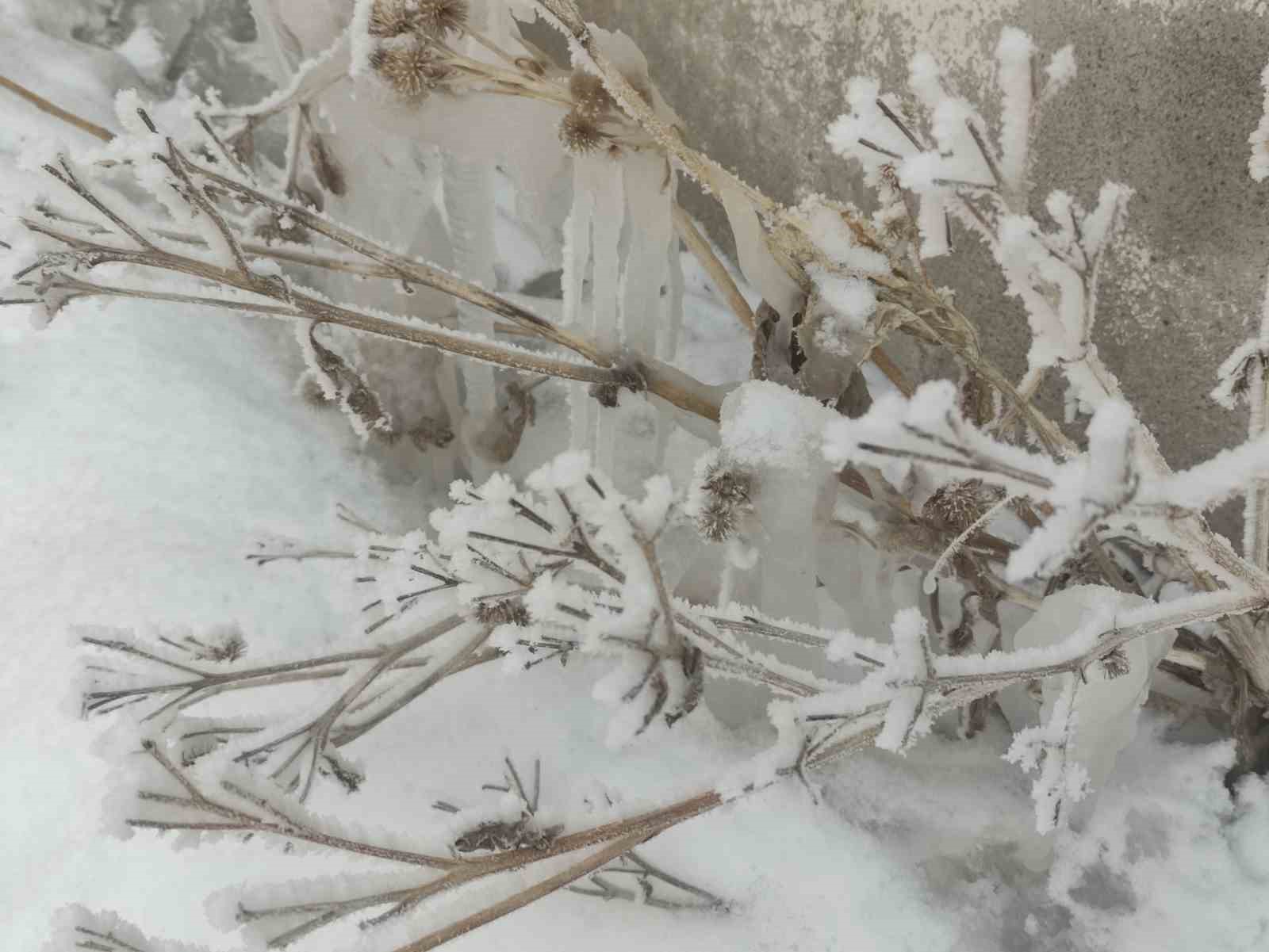 Dondurucu soğuklar devam ediyor, Göle eksi 31,5 derece