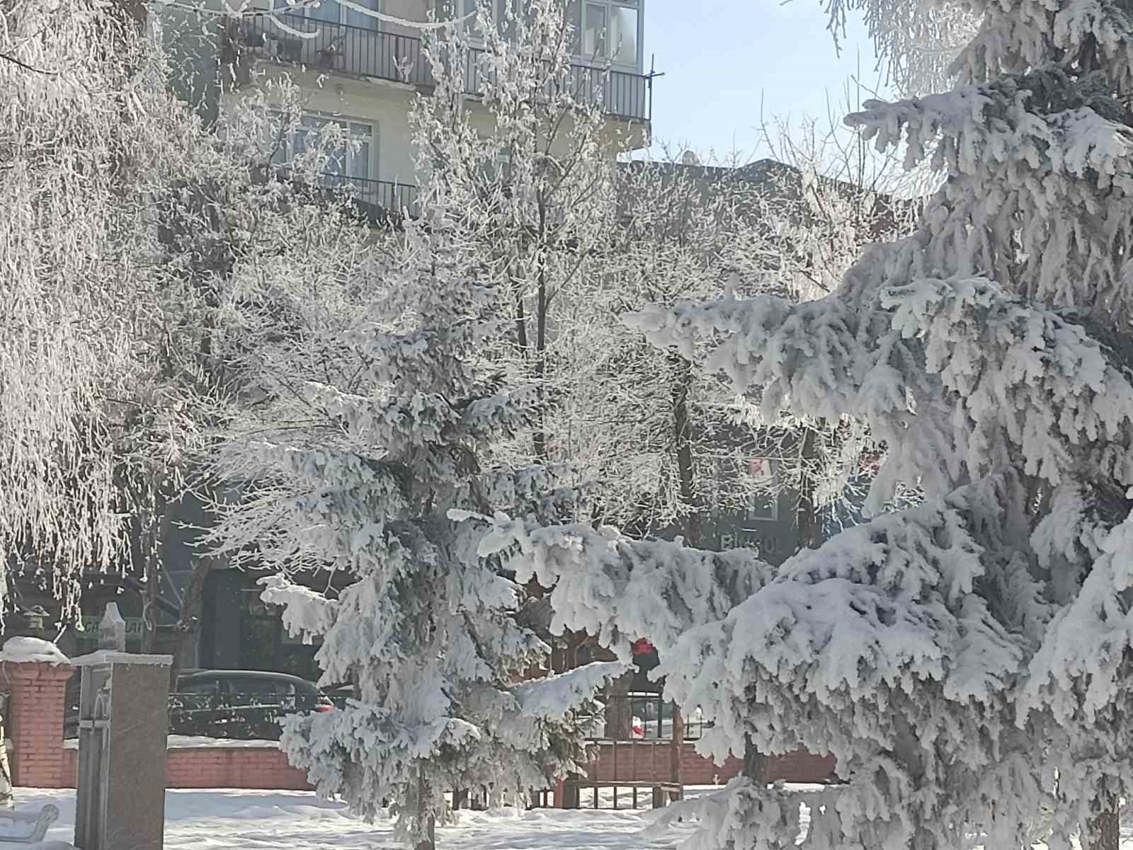 Dondurucu soğuklar devam ediyor, G&ouml;le eksi 31,5 derece
