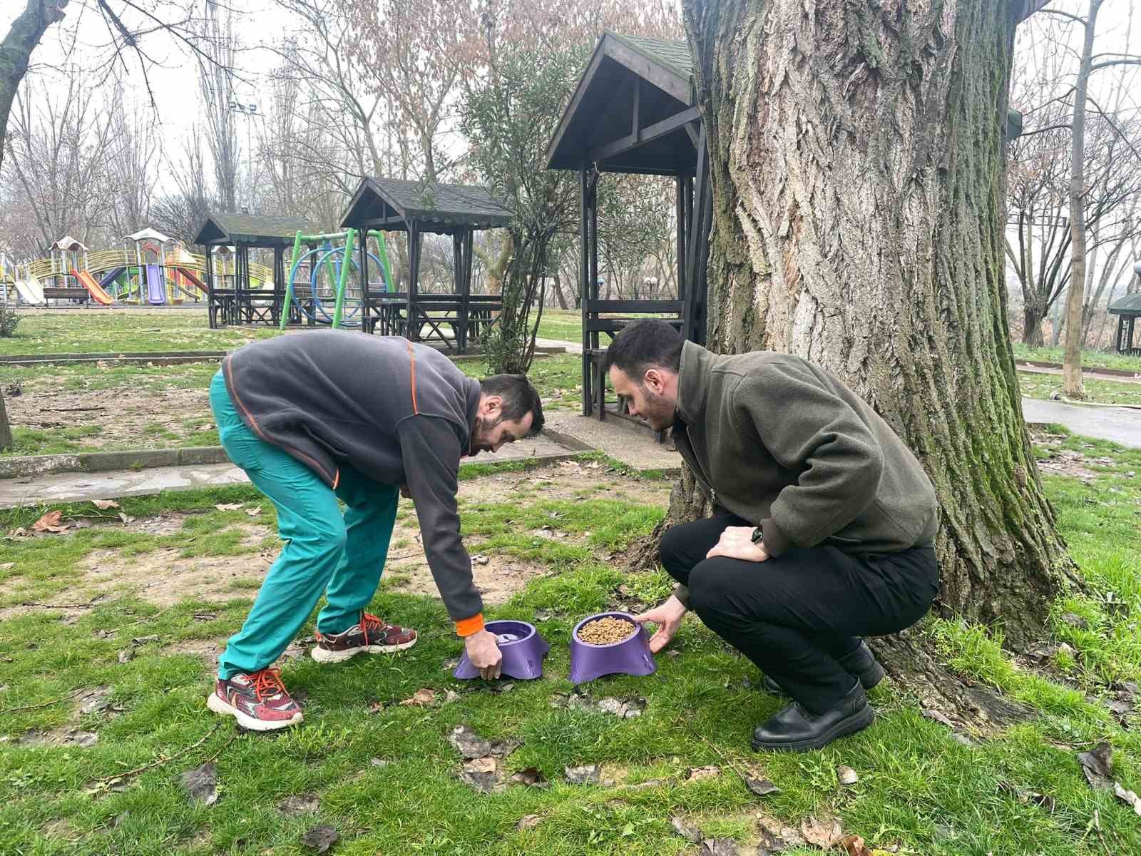 Can dostları için mama ve su kapları yerleştirildi
