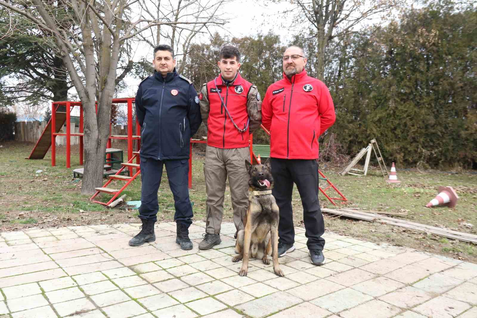 K-9 arama kurtarma köpeği ’Adam’, Türkiye’nin en genç eğitmeni ile afetlere hazırlanıyor