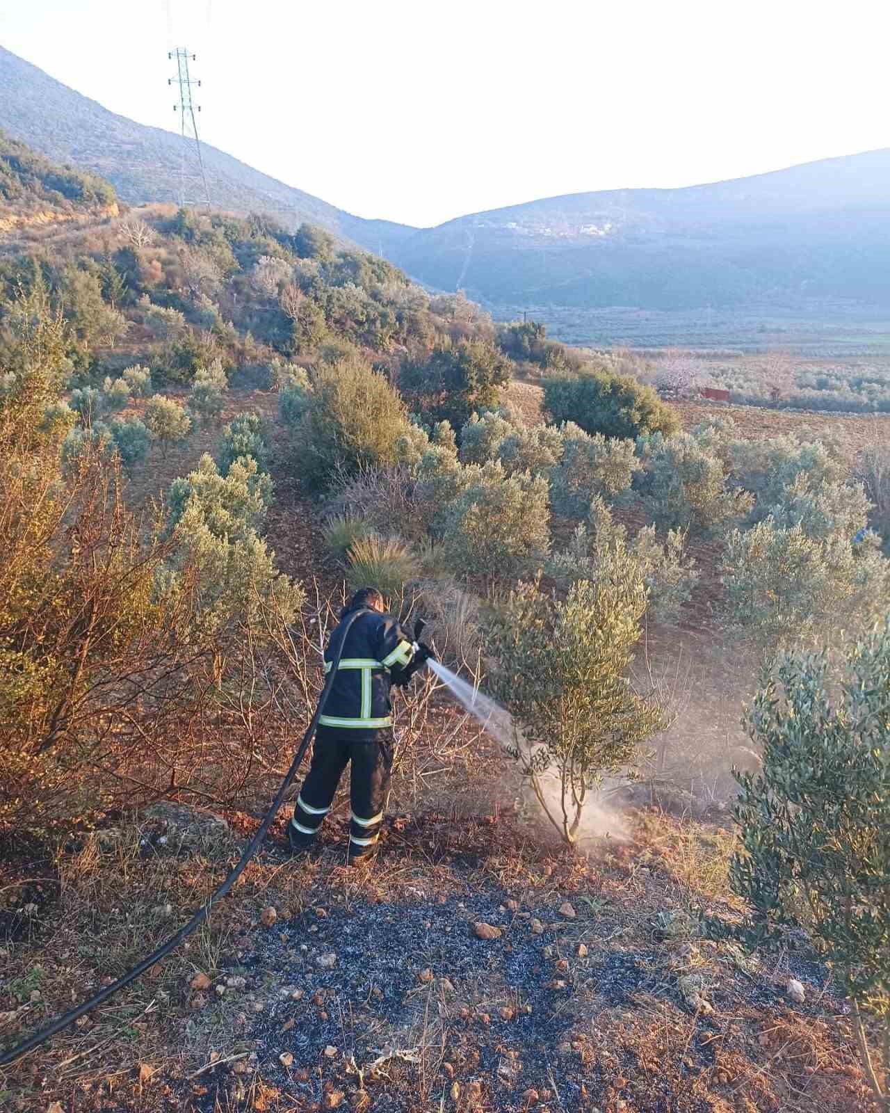 Yayladağı&rsquo;nda zeytinlik yangını

