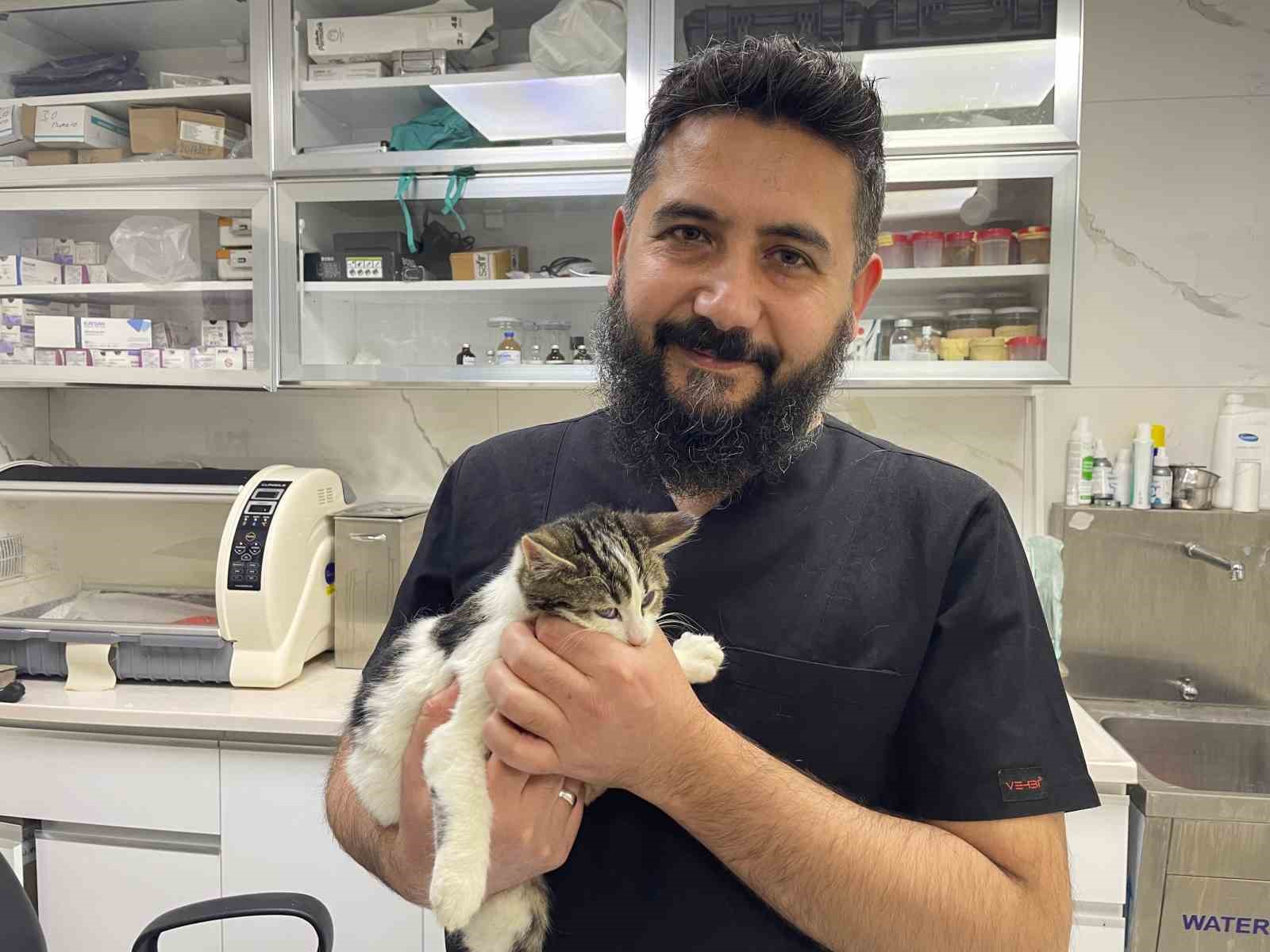 Veteriner hekim sahte mama riskine karşı uyardı