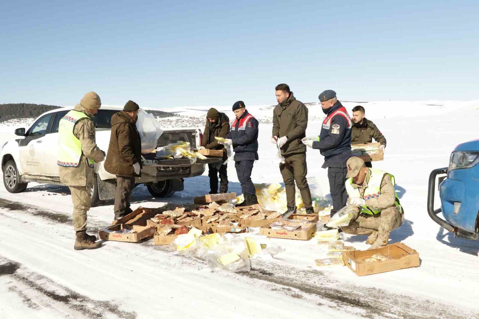 Yabani hayvanlar i&ccedil;in doğaya yem bıraktılar
