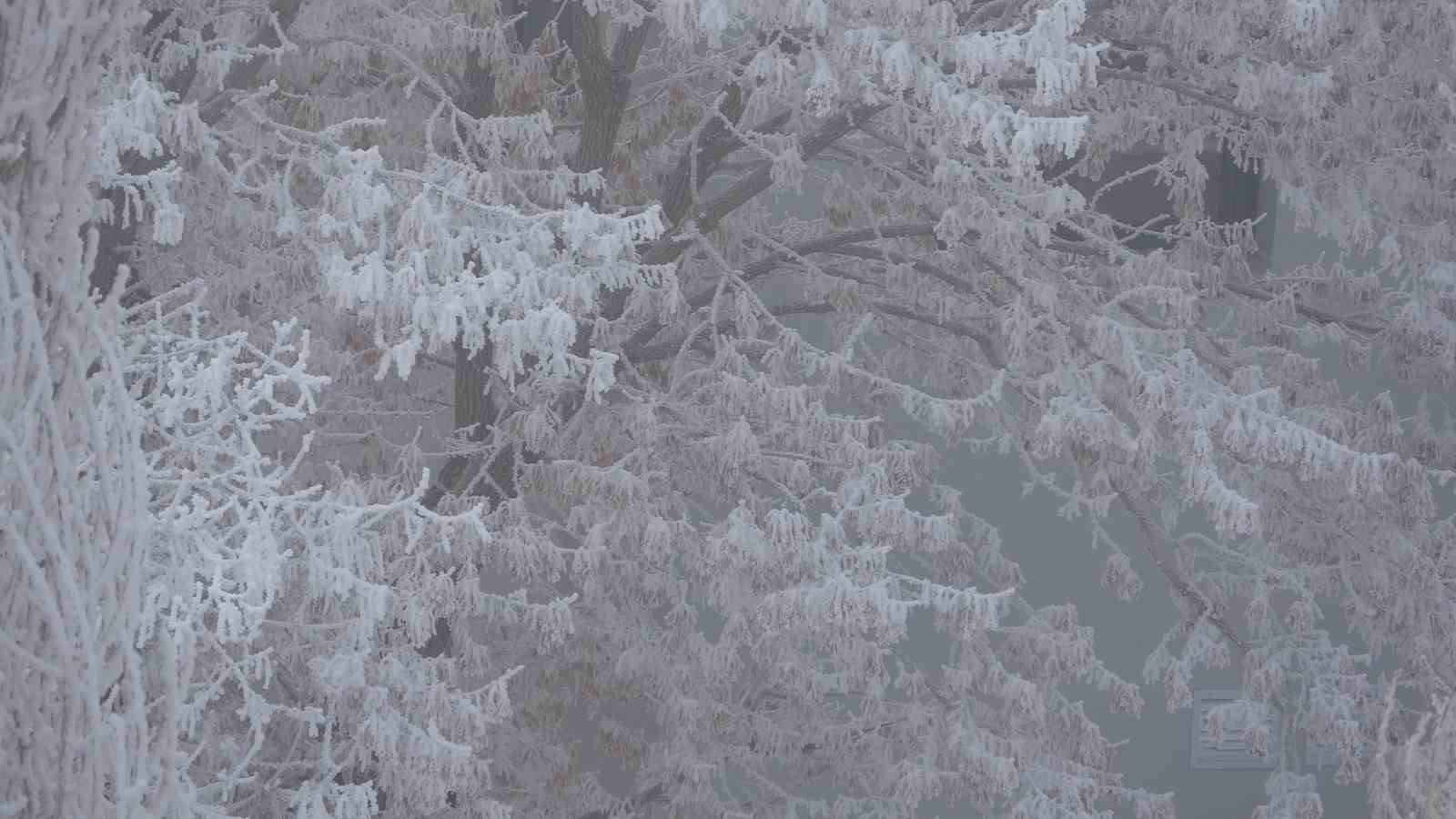 Dondurucu soğuklar nedeniyle onlarca ara&ccedil; &ccedil;alışmadı
