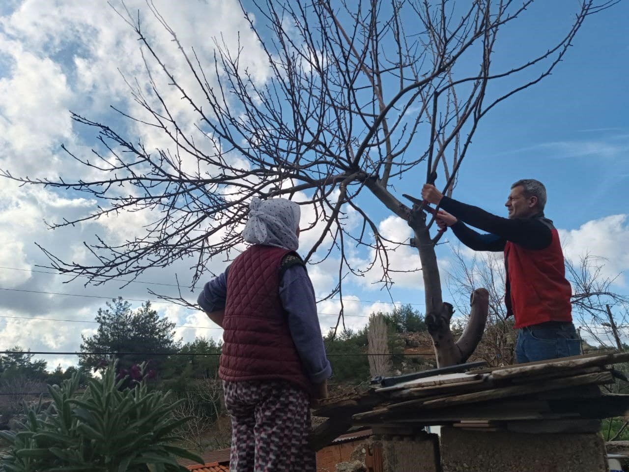 Menteşe’de üreticilere budama ve hastalıkla mücadele eğitimi