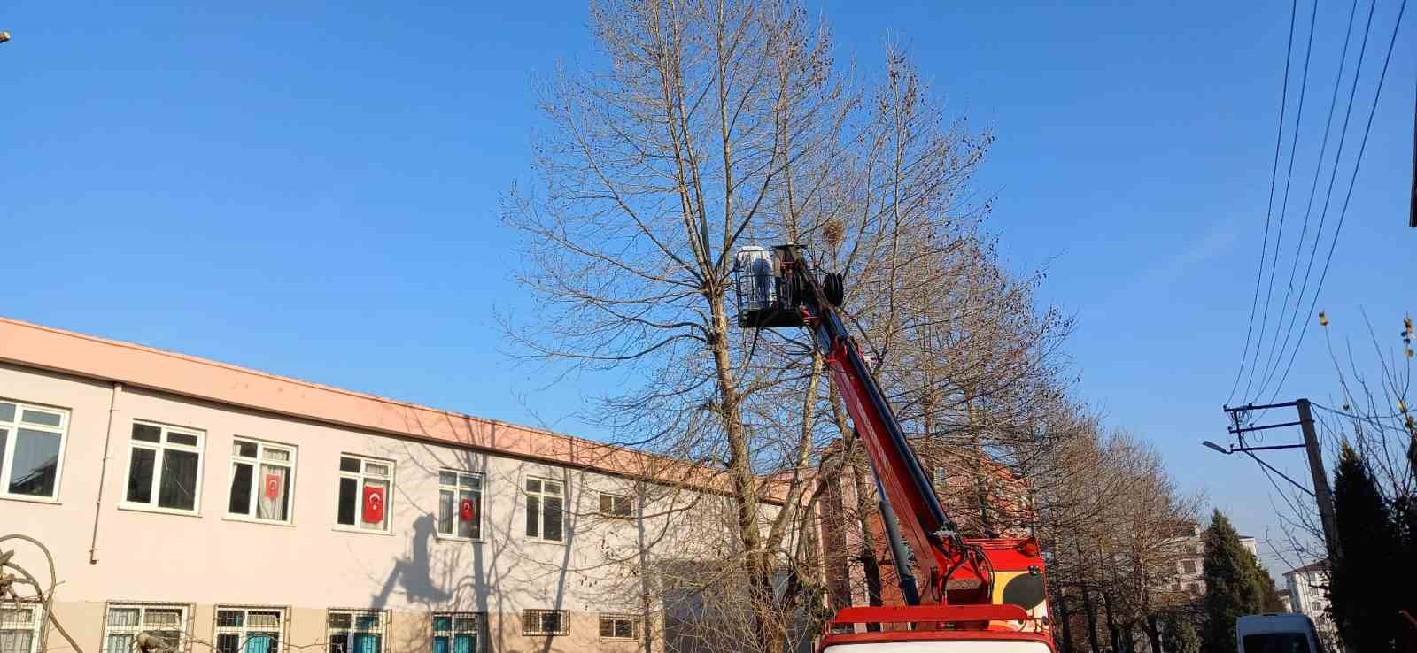 &Ouml;ğrencilerin g&uuml;venliği i&ccedil;in okullardaki ağa&ccedil;lar budanıyor
